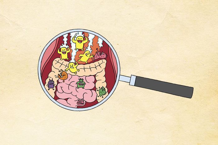 Ilustrasi usus di dalam tubuh.