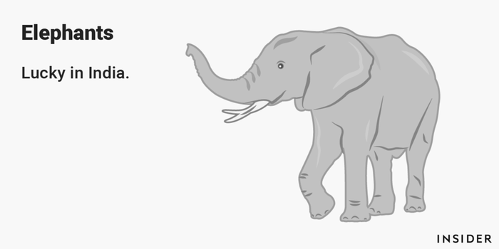 Gajah