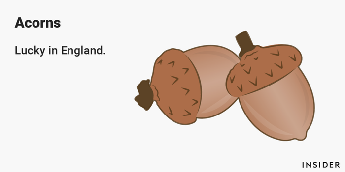 Acorn