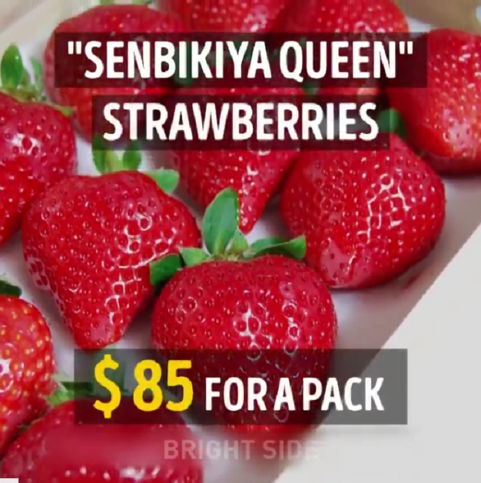 Клубника Senbikiya Queen