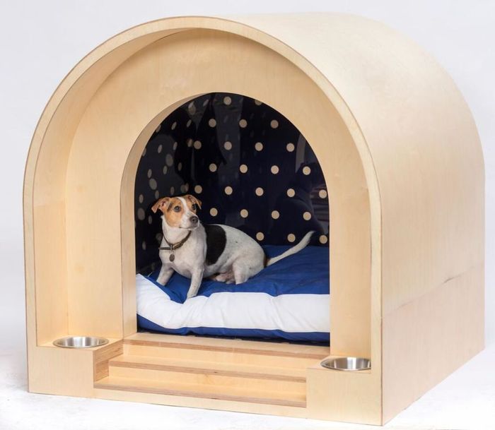 Anti Mainstream Inilah 15 Kumpulan Rumah Anjing Dengan Desain