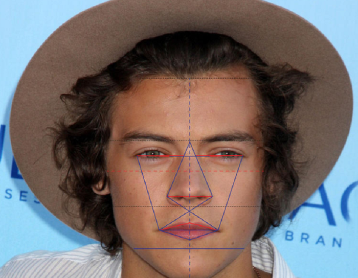 Rasio Wajah Harry Styles