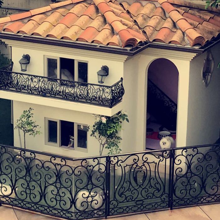Mewah Banget Inilah Rumah Anjing Peliharaan Model Cantik Paris
