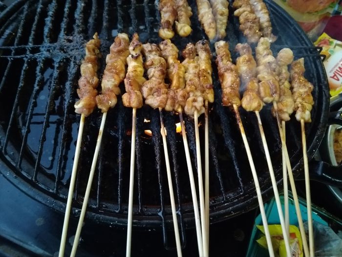 Manfaat Berikut Ini Bisa Dirasakan Saat Menyantap Sate Biawak di Festival  Soto & Sate Nusantara - Semua Halaman - Sajian Sedap