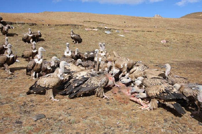 Jhator atau Sky Burial Tibet