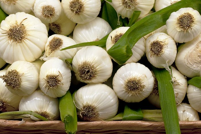 Bawang putih kaya anti-oksidan