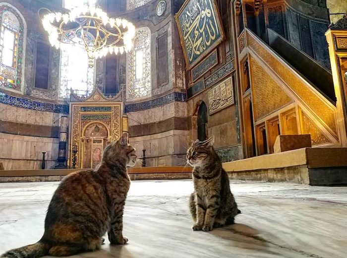 Gli dan saudaranya Kizim
