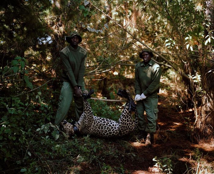 Kisah Suku Samburu Menjaga Kelestarian Alam dan Satwa Liar di Afrika