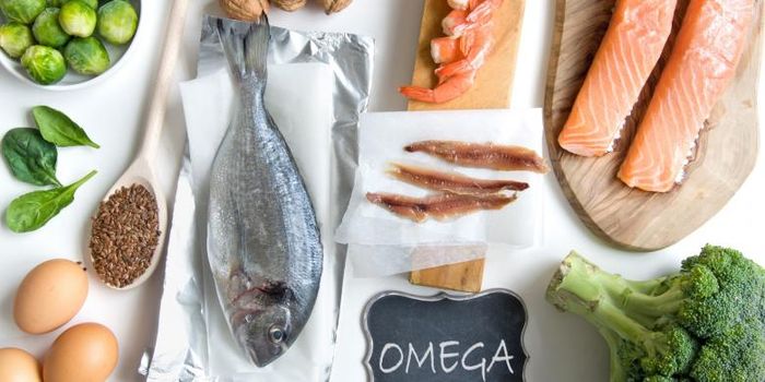 Konsumsi makanan mengandung omega