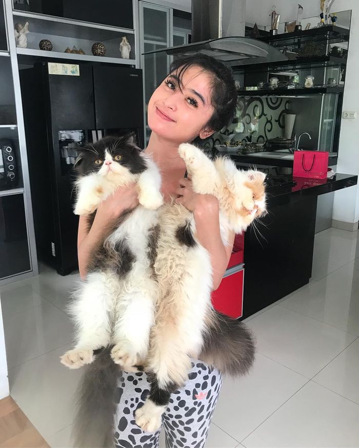 dapur dewi persik