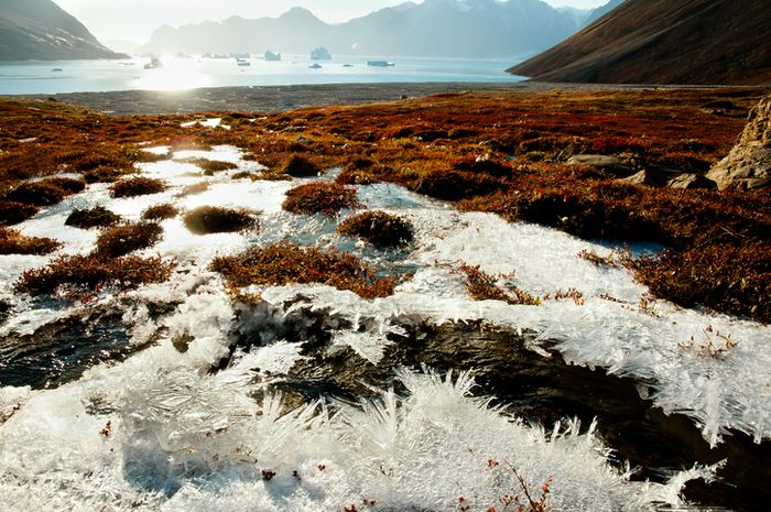 Tumpahan Minyak di Rusia, Norilsk Nickel, dan Permafrost yang Mencair