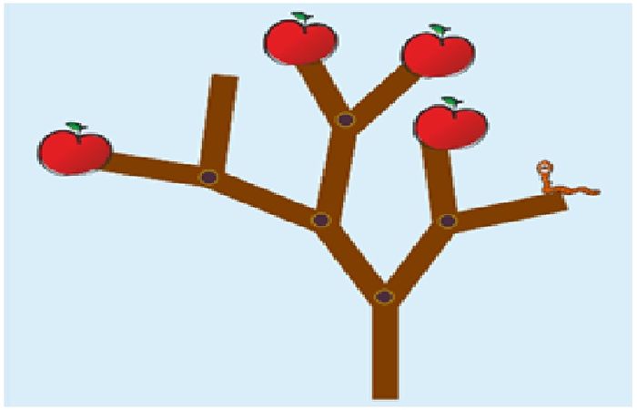 Tantangan Abad 21 Dari Si Berang Berang Pentingnya Mengasah Kemampuan Berpikir Komputasional Anak Dan Remaja Semua Halaman Intisari