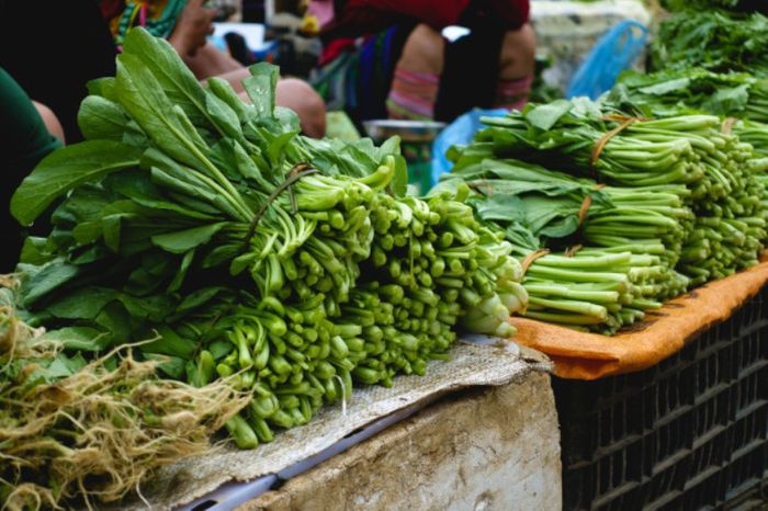 Terlalu banyak konsumsi <a href='https://pontianak.tribunnews.com/tag/bayam' title='bayam'>bayam</a> bisa menyebabkan penyakit