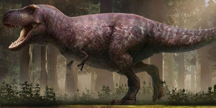 Interpretación reciente de la forma de D-Rex basada en el análisis de los investigadores.