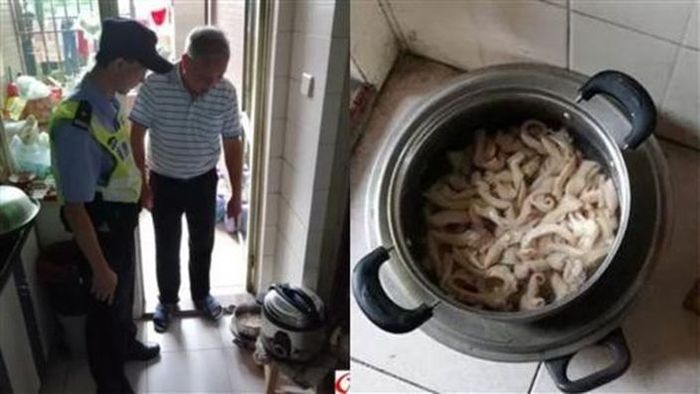 Menemukan sekantong usus ayam