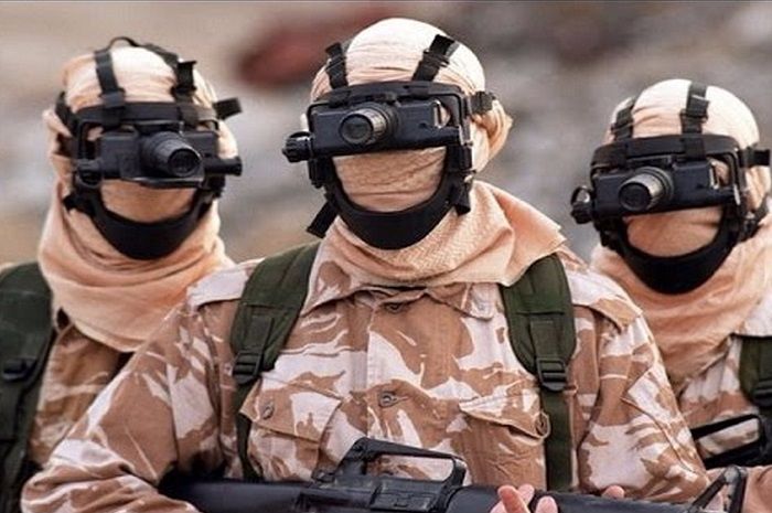 Mohammed bin Salman bentuk Tiger Squad (ilustrasi)