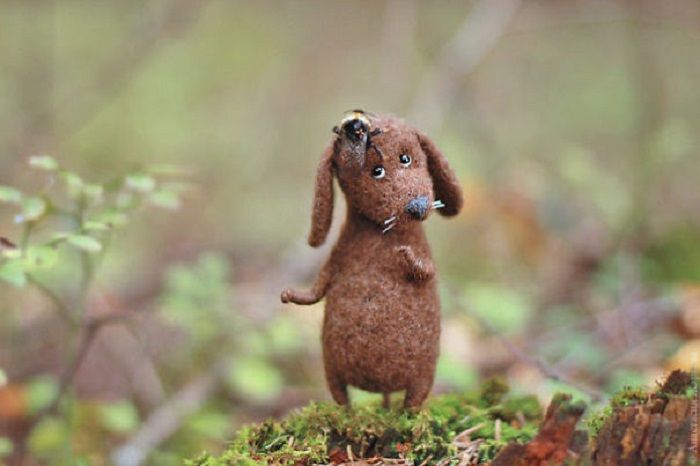 Yuk, Melihat Miniatur Hewan Lucu yang Dibuat dari Benang Wol Bobo