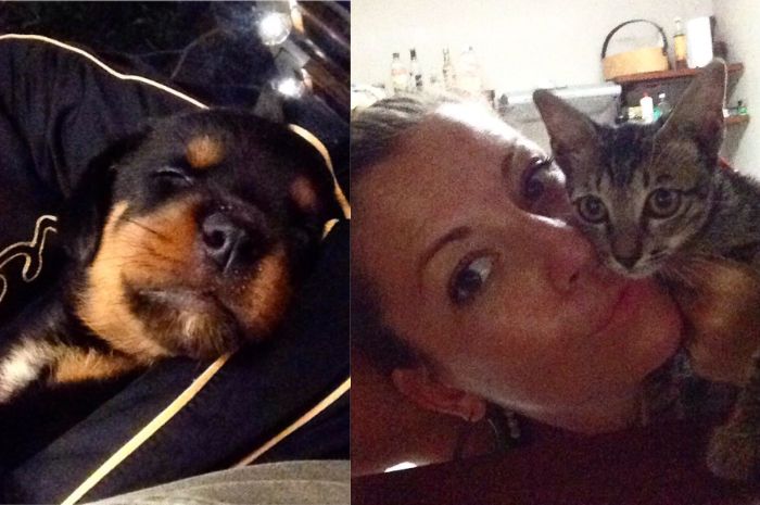 Anjing dan kucing peliharaan Luna Montico, istri Gaston Castano yanng kerap diunggah di Instagram pr