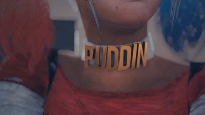 Harley Quinn in PUBG