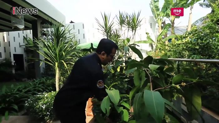 Kebun di rumah Ustaz Yusuf Mansur