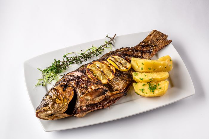 Ikan sudah dikenal dengan manfaatnya.