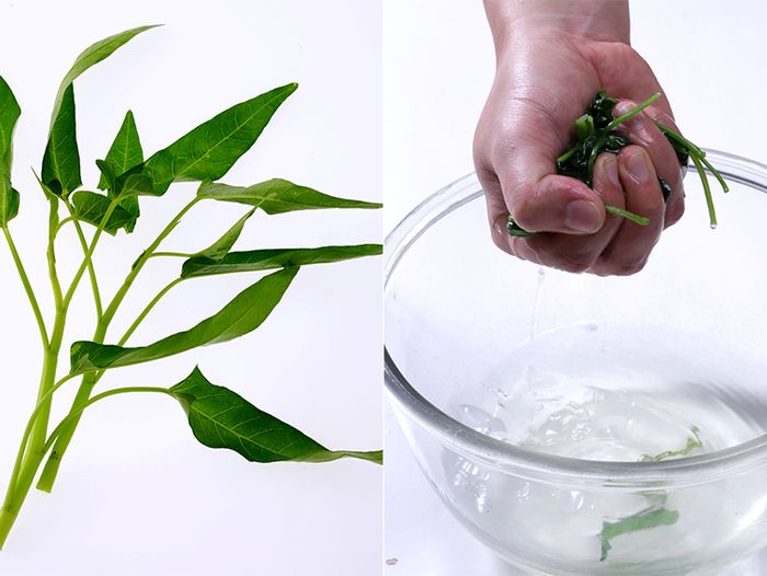 Cara membersihkan kangkung dengan benar.Sajian Sedap

