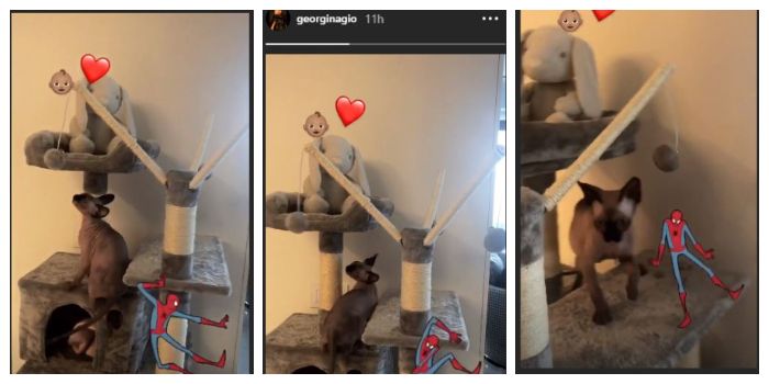 instastory Instagram Georgina Rodriguez, Kamis (15/11/2018)
