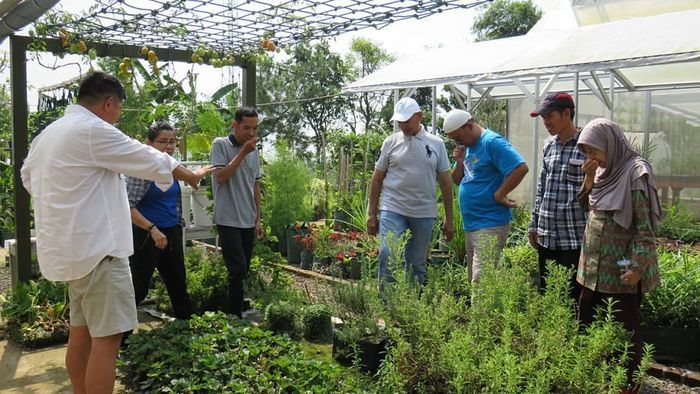 Beda Usia 45 Tahun, Keasrian Rumah Mewah Mark Sungkar dan Istri Baru Bikin Makin Harmonis!