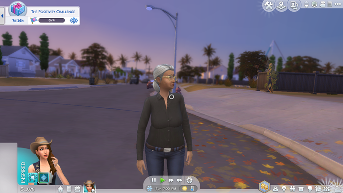 sims 4 first person sims 4 first person