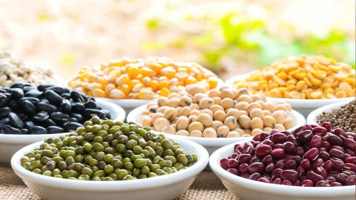 Kacang-kacangan
 