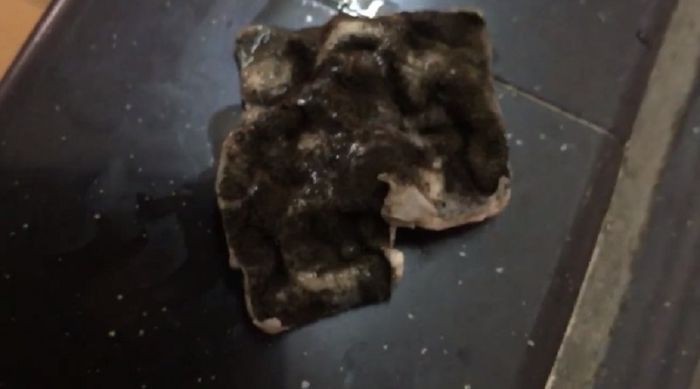 Gumpalan jamur yang ditemukan dalam susu kotak.