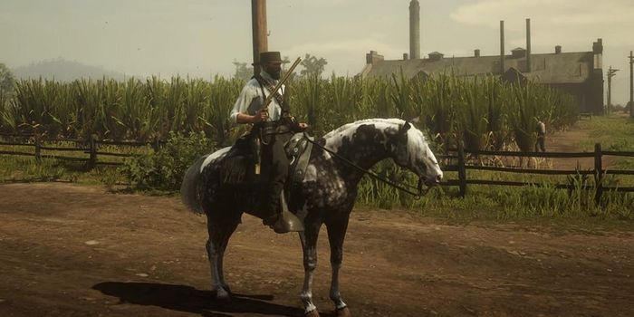 5 Things You Need To Pay Attention To Before Playing Red Dead Online