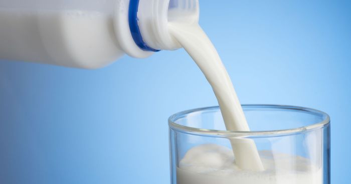 Susu