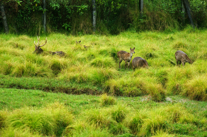 Mengunjungi Bandung Jangan Lupa Mampir Ke Desa Wisata Di Mengunjungi Bandung Jangan Lupa Mampir Ke Desa Wisata Di