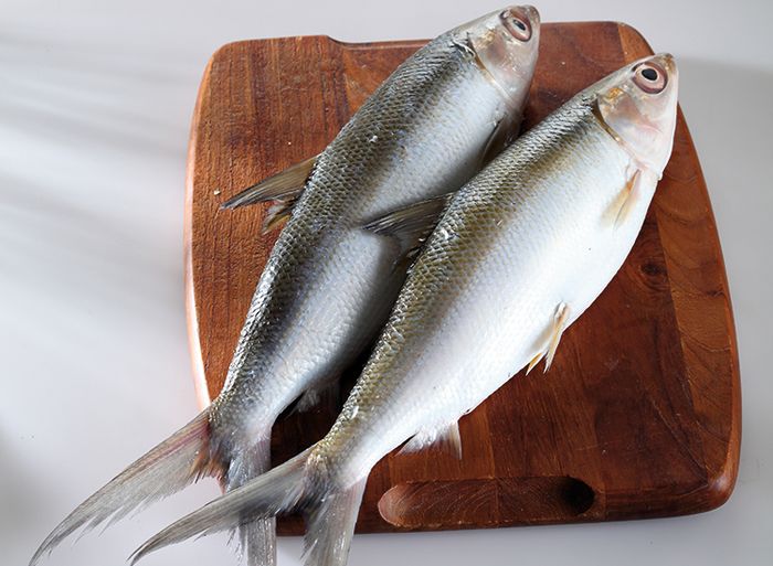 Daging Ikan