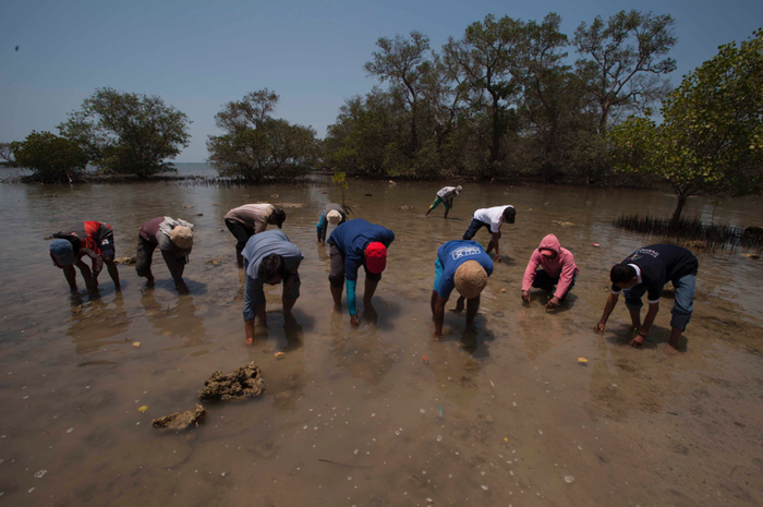 Perjuangan Warga Lokal Melawan Abrasi Di Pesisir Utara Pulau