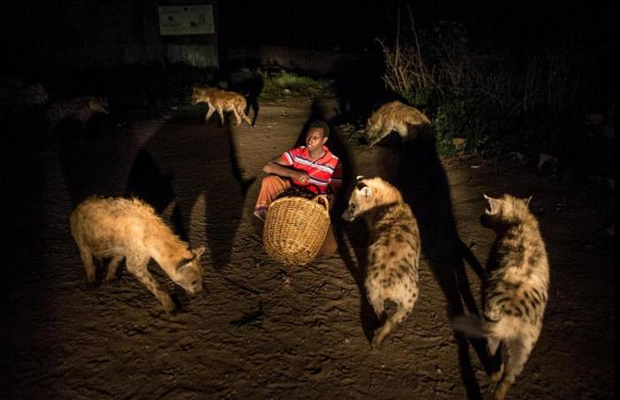 Mengikuti Tradisi Keluarga Ini Hidup Dengan Hyena Puluhan Tahun