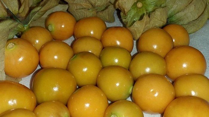 Ceplukan