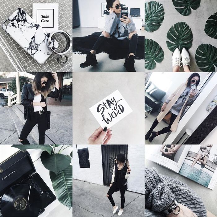 Feeds Instagram