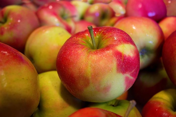 Berita Kesehatan 5 Buah Aman Untuk Penderita Gerd Dan Asam