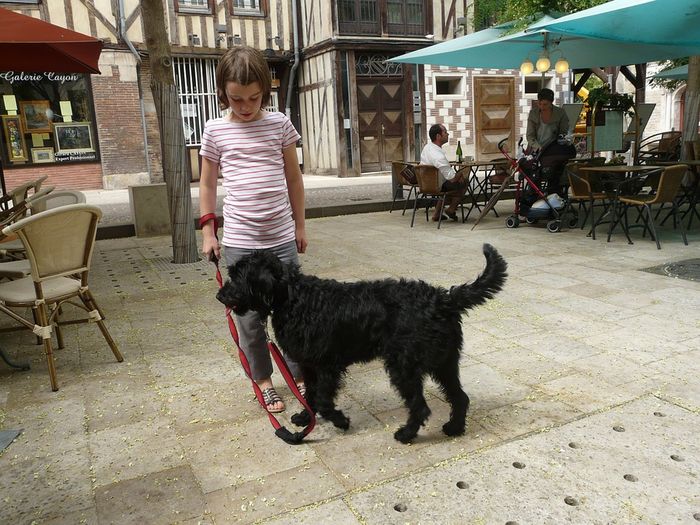 9500 Gambar Anak Merawat Hewan Terbaik