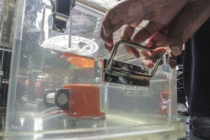 Begini penampakan Black Box Lion Air JT 610