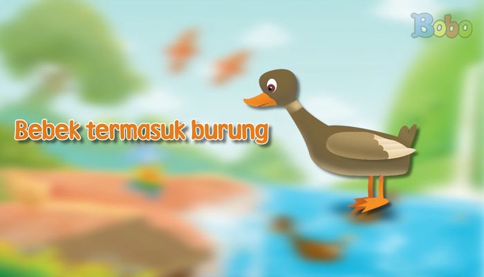 Fakta Seru Burung, dari yang Tak Bisa Terbang sampai yang Berenang Bobo