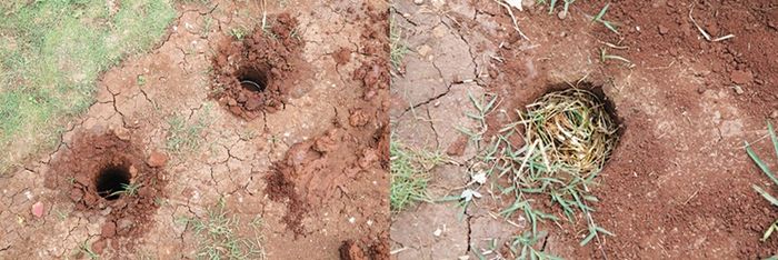 Penyerapan air hujan dapat dilakukan dengan lubang biopori ini.