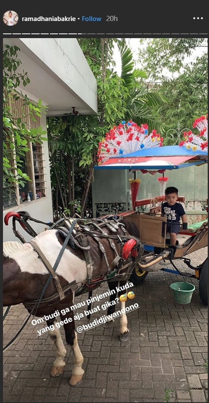 Demi Bikin Anaknya Bahagia, Nia Ramadhani Sewa Delman Pribadi untuk Keliling Kompleks