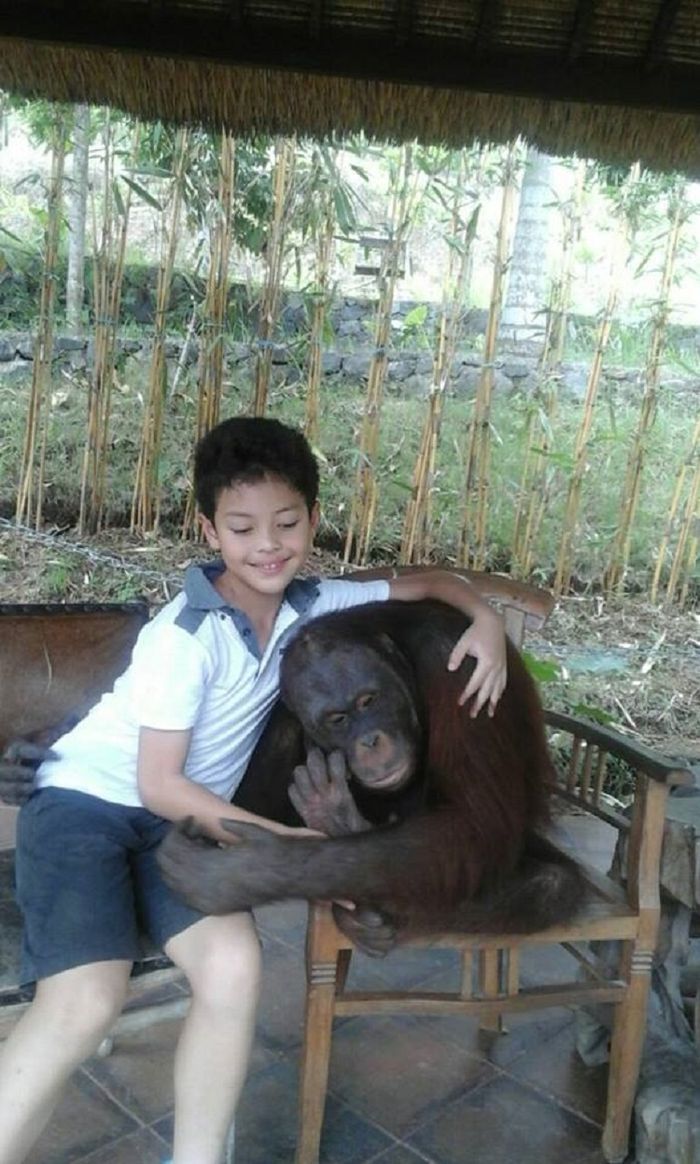 Kabar Keanu Massaid, Putra Almarhum Adjie Massaid dan Angelina Sondakh yang Kini Berusia 9 Tahun