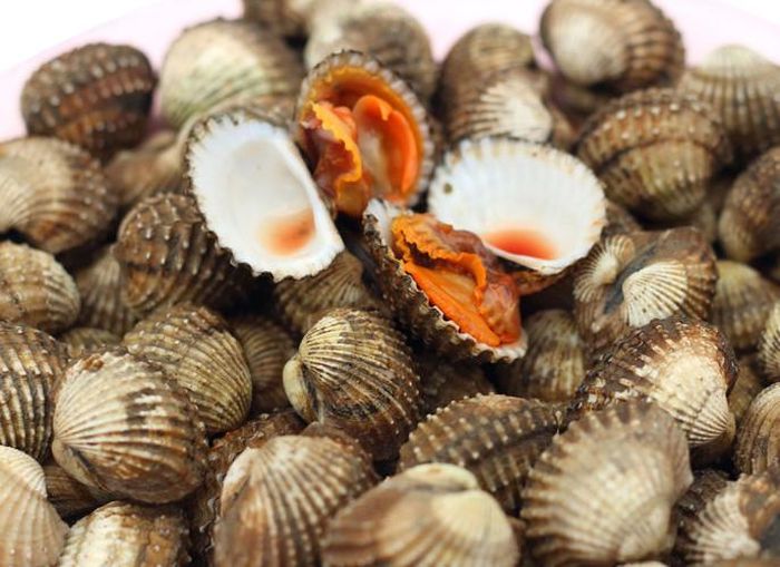 Kerang darah