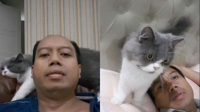 Kenalan dengan Pussy Moza, Kucing Peliharaan Sutopo Purwo Nugroho yang Setia Temani Sang Majikan saat Terbaring Sakit.