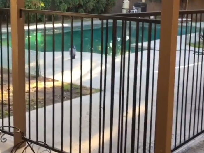 Kolam renang rumah Nia Daniaty dok. instagram/niadaniatynew