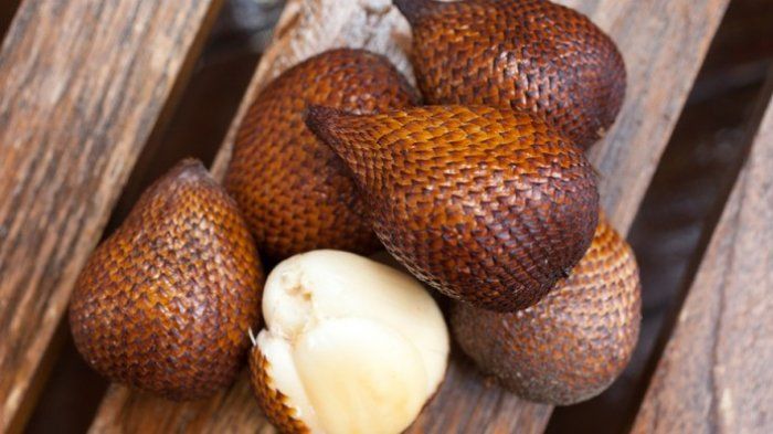 Manfaat salak yang luar biasa. Kulit arinya jangan dibuang untuk menikmati manfaatnya.